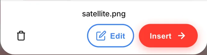 The asset footer bar with the file name, a delete icon, Edit and Insert