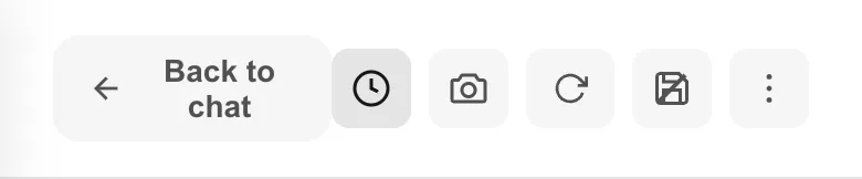 The preview toolbar: Back to chat plus history, camera, reload and save-data icons